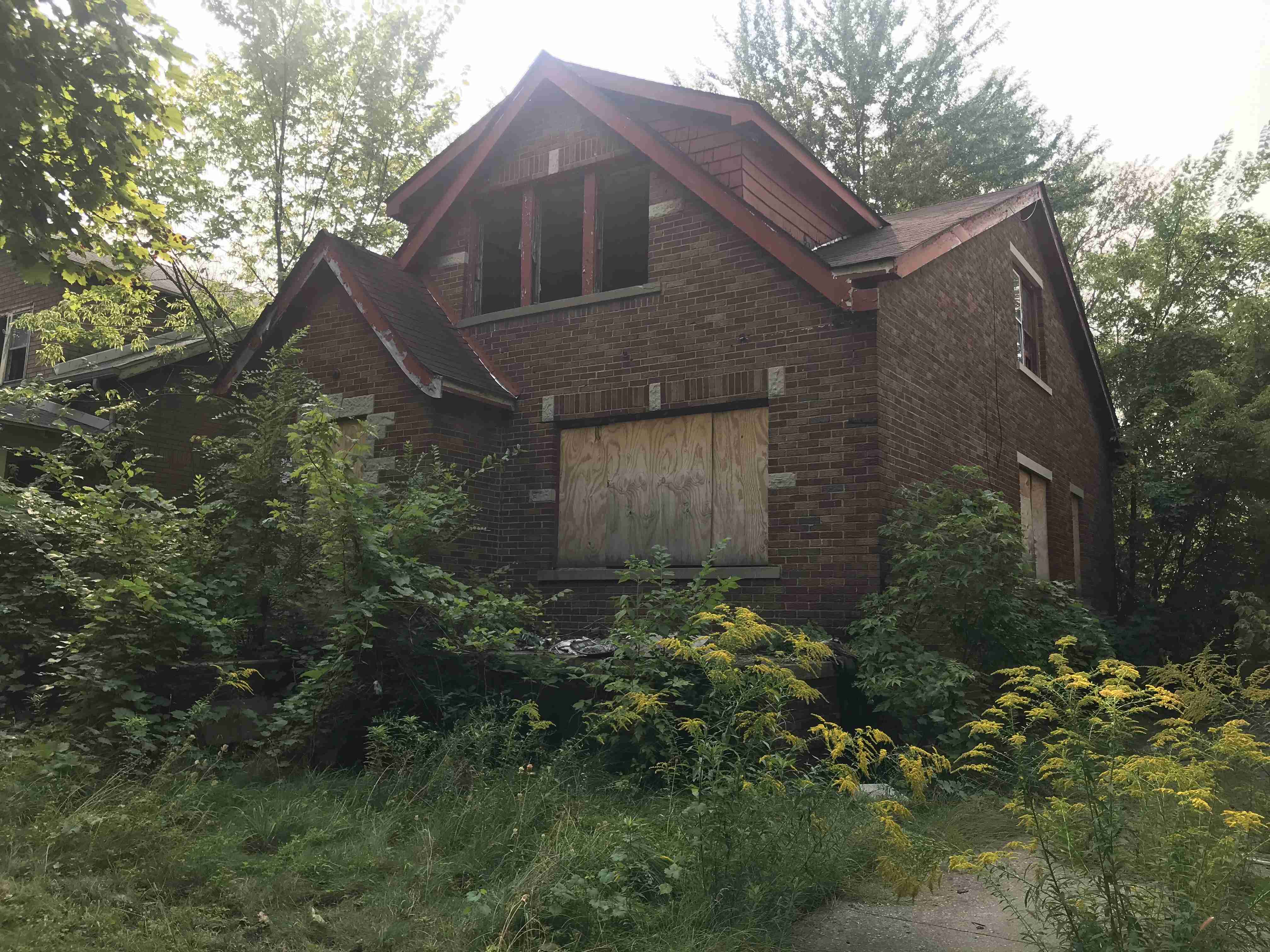 Photo Sep 15, 3 24 20 PM (1).jpg